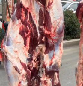 開驢肉批發館一年能賺多少錢