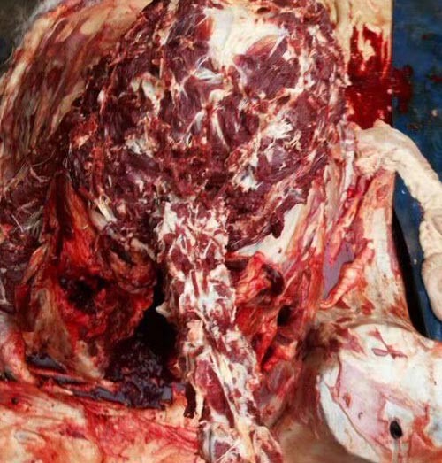 驢肉批發細節